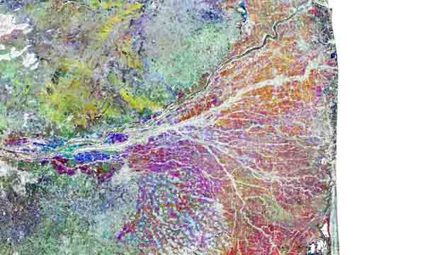 Visualisation des cultures rizicoles du Tamil Nadu à partir des données de Sentinel-1 © ESA/RIICE/TNAU