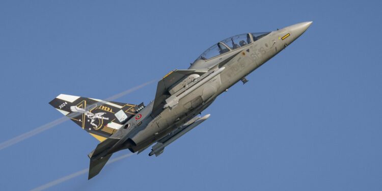 Copyright Daniel Trippolt